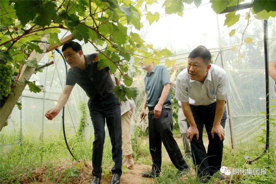 尊龙凯时(中国)人生就是搏!