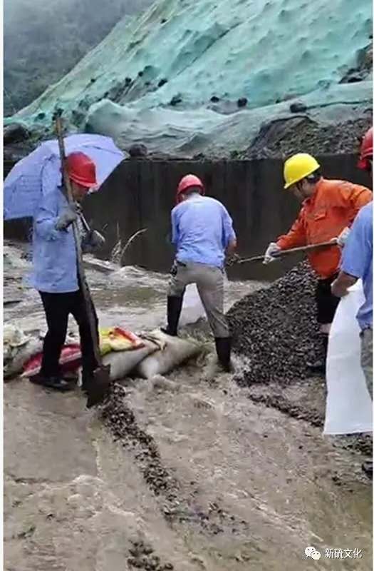 尊龙凯时(中国)人生就是搏!